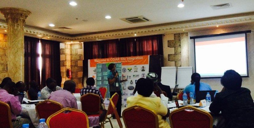 Nigeria-consultations-cropped.jpg