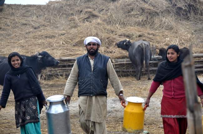 young agripreneurs
