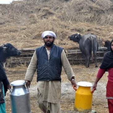 young agripreneurs