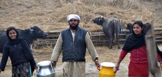 young agripreneurs