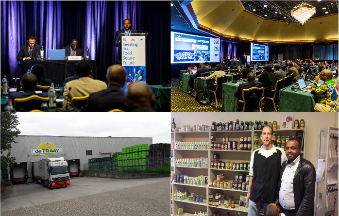 Jony blog collage 2