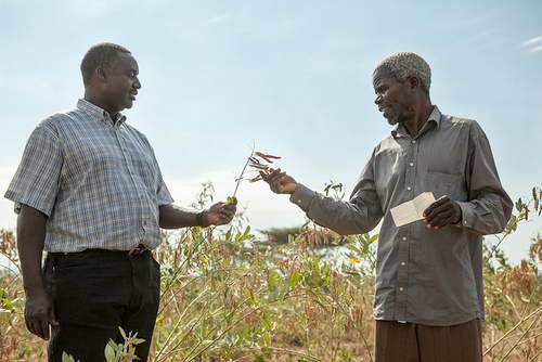 scientist-in-the-field
