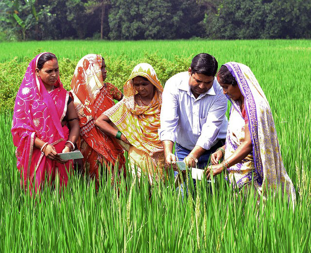 farmers CCAFS
