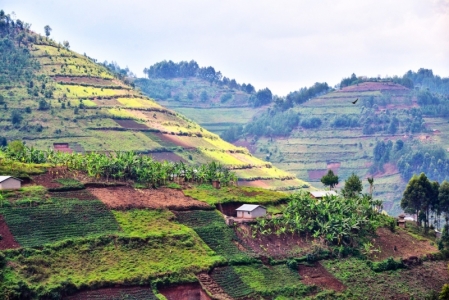 blog_w_uganda_rod_weddington