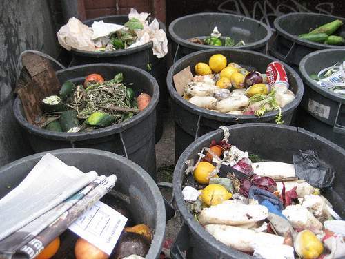 food waste.jpg