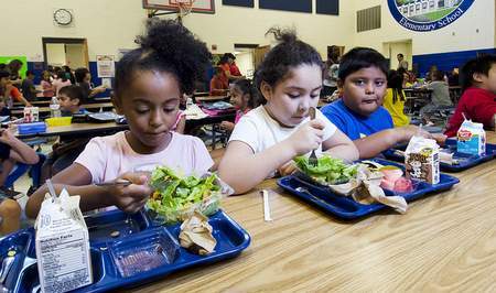 school lunch