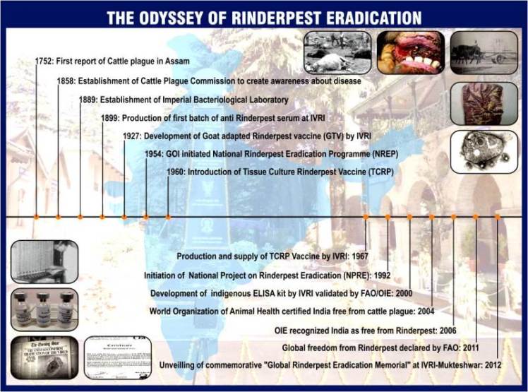 rinderpesttimeline