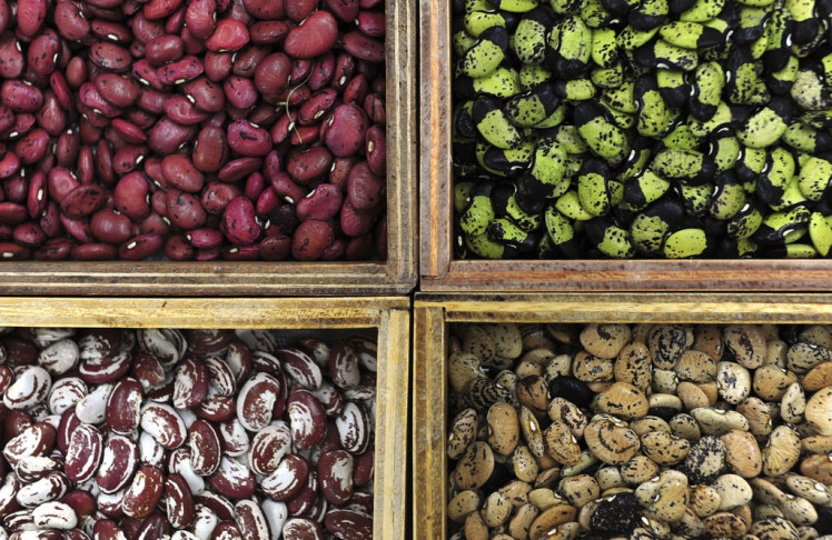 seed_bank