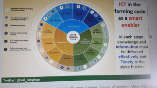 ICTs in the farming cycle, in Stephen Kalyesubula's lesson